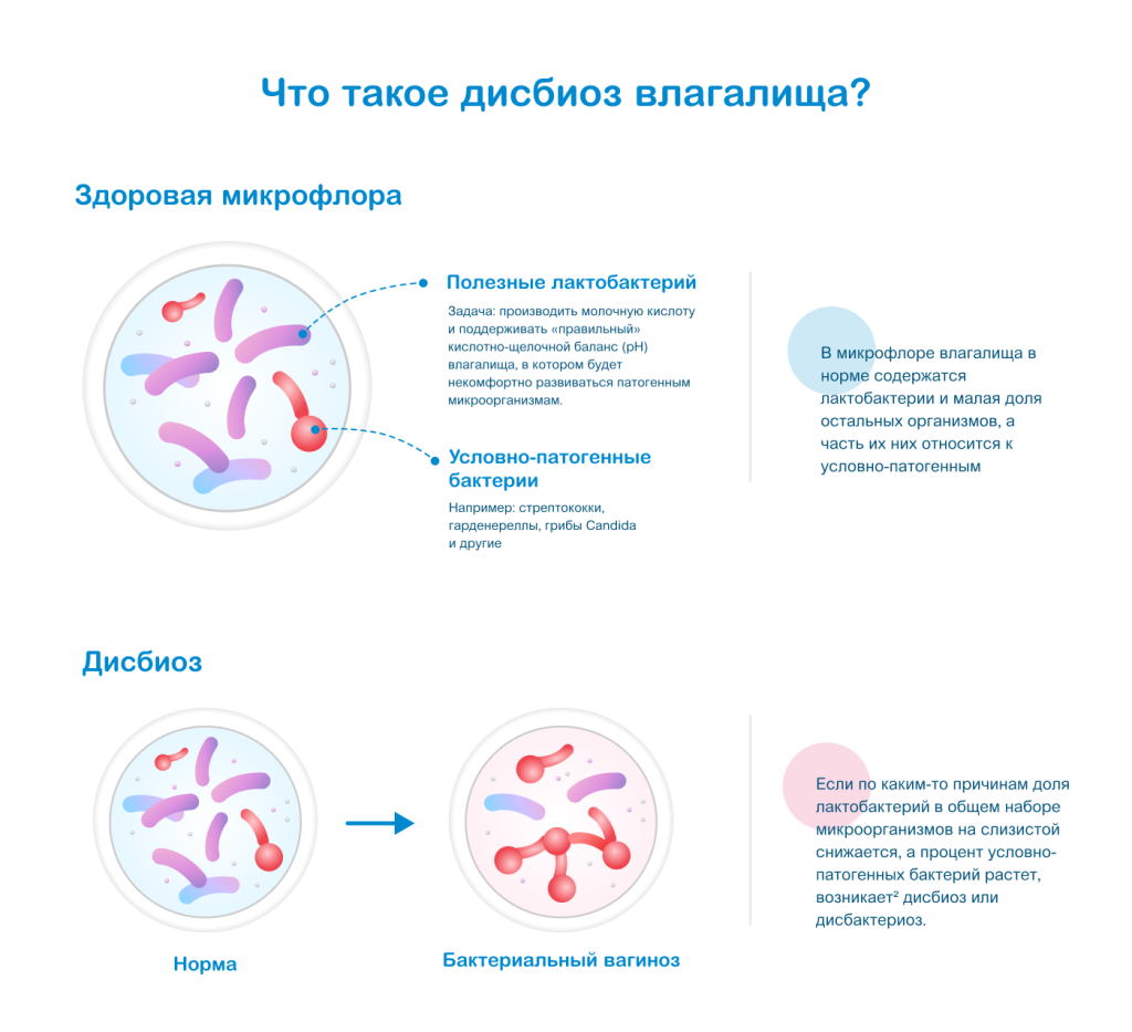Процесс развития дисбактериоза